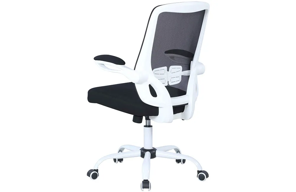 4019 Computer Chair
