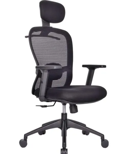 Official Chair Adjustable