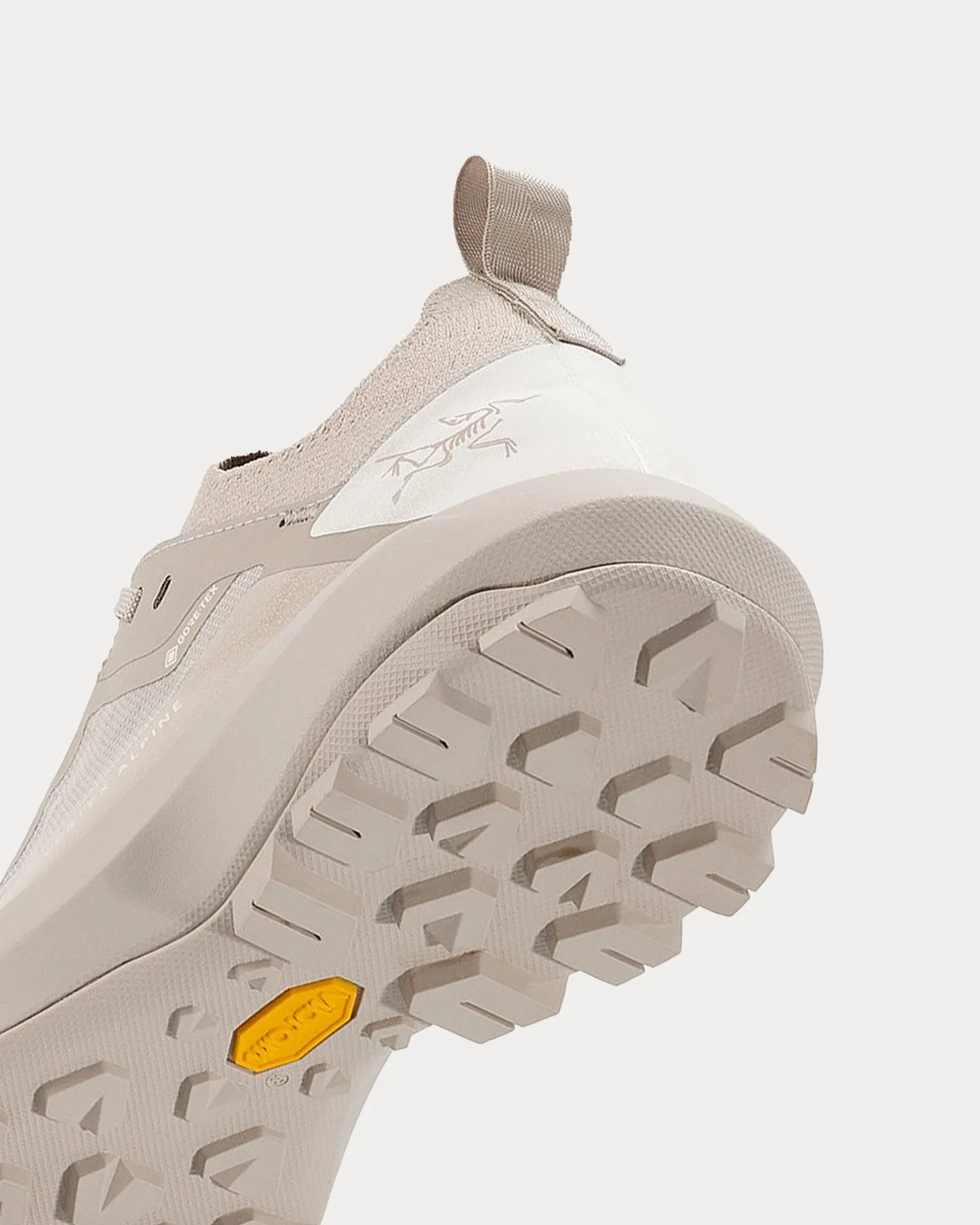 Vertex Alpine GTX Rune / Arctic Silk Running Shoes